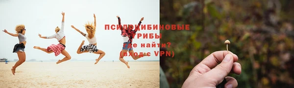 мескалин Елабуга