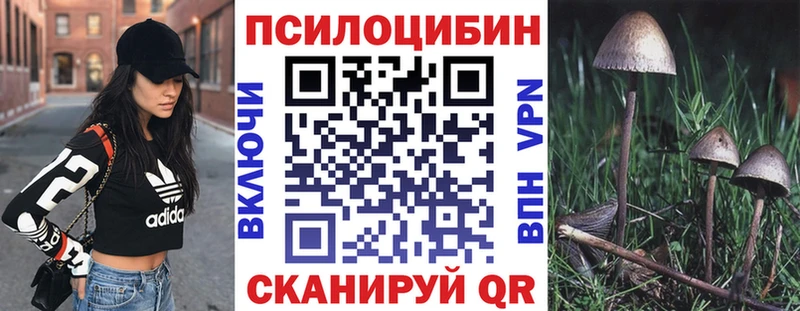 Купить где  Трёхгорный  Псилоцибиновые грибы мицелий 